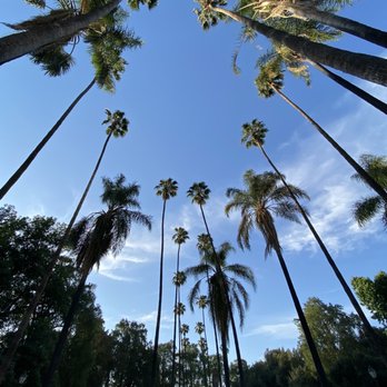 Fairmont Regional Park - Parks Near Me - Riverside, California