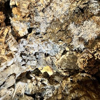 Black Chasm Cavern - Tours Near Me - Volcano, California