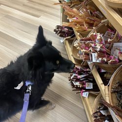 Republic of Paws North