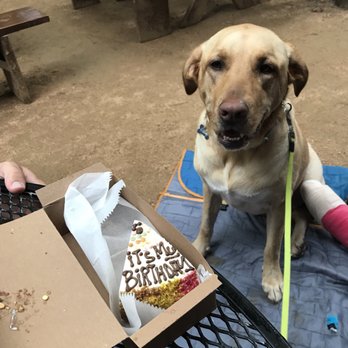 Three Dog Bakery - Pet Stores Near Me - Plano, Texas Three Dog Bakery - Pet Stores Near Me - Plano, Texas