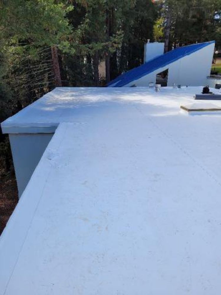 Slide of Hernandez Hernandez