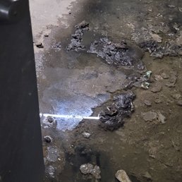 Small part of the river of feces in the basement