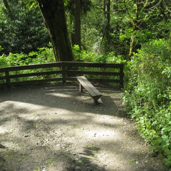 Meadowdale Beach Park - Meadowdale Trail - Parks Near Me - Edmonds, Washington Meadowdale Beach Park - Meadowdale Trail - Parks Near Me - Edmonds, Washington