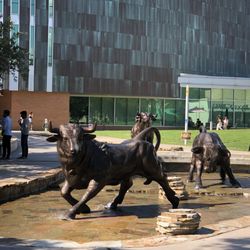 University of South Florida - The Bull Fountain