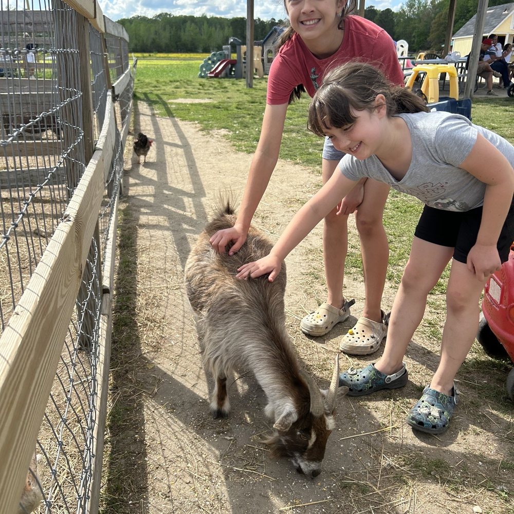 Hickory Ridge Farm - Friendly pets to pet - Farmers Market Near Me - Chesapeake, Virginia