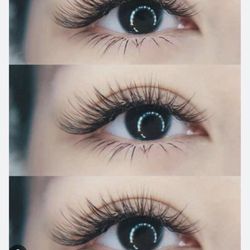 I Lash Plus