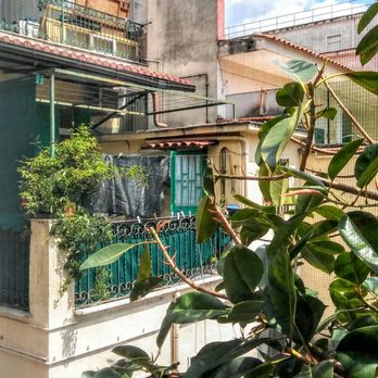 Napoli - Neighbors - Local Flavor Near Me