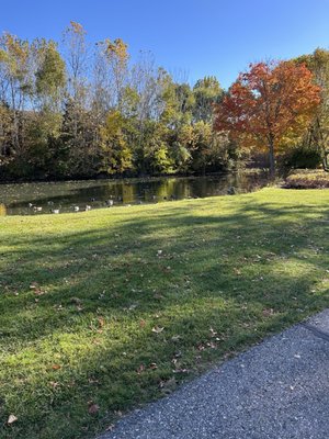 George George Memorial Park by null