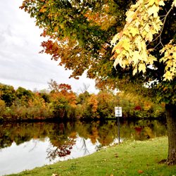 Hines Park