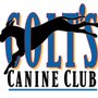 Photo of Colt's Canine Club