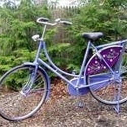 Jolly Bike - Purple Jolly Bike