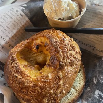 Dapper Owl - Cheddar Bagel - Coffee & Tea Near Me - Murfreesboro, Tennessee