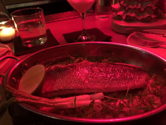 Dear Strangers by null