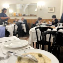 Vittoria
