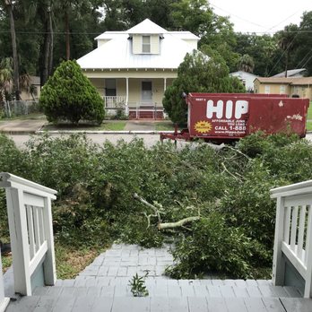 Sunrise Tree Service - Tree Services Near Me - Tampa, Florida Sunrise Tree Service - Tree Services Near Me - Tampa, Florida