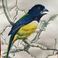 San Jose Art Academy - Example of the art my oldest makes during class