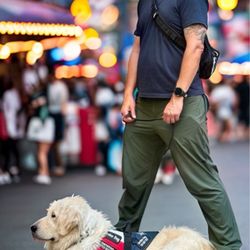 Northwest Battle Buddies - Service Dog and Handler