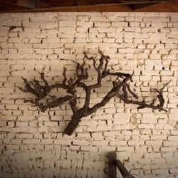 Turkey Flat Vineyards - Bushvine Grenache vine