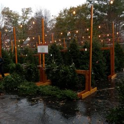 Barefoot Mountain Farms Christmas Trees - Picking out our tree