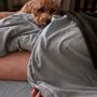 Photo of Massage By Dana