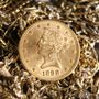 Photo of David Derzon Coins