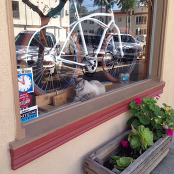 My Bicycle - Little guy stands guard and doesn't trust my dog when we walk by every morning. - Bikes Near Me - Long Beach, California My Bicycle - Little guy stands guard and doesn't trust my dog when we walk by every morning. - Bikes Near Me - Long Beach, California