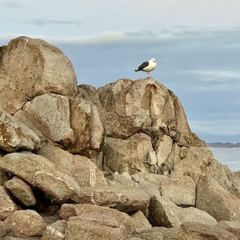 Lovers Point Park - Parks Near Me - Pacific Grove, California