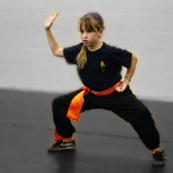 Dragon Claw Academy - Kung Fu Club ages 7-12