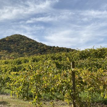 Victoria Valley Vineyards - Fall vines - Wineries Near Me - Cleveland, South Carolina Victoria Valley Vineyards - Fall vines - Wineries Near Me - Cleveland, South Carolina