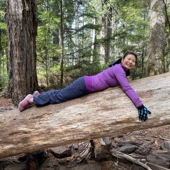 Jug Handle State Natural Reserve - tree hugger! - Parks Near Me - Fort Bragg, California