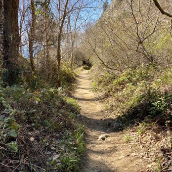 Partington Cove - 02.16.20 next junction towards the wooden bridge - Hiking Near Me - Big Sur, California