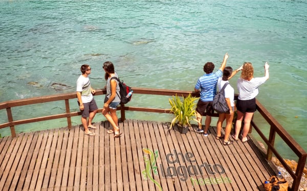Che Lagarto Hostel Ilha Grande by null