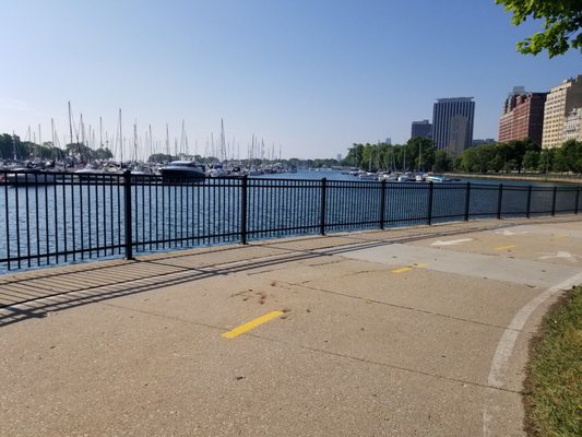 Belmont Harbor by null