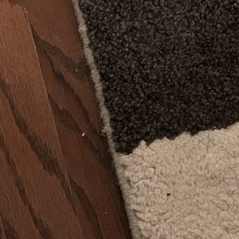 Molly Maid - Floor - Home Cleaning Near Me - Houston, Texas Molly Maid - Floor - Home Cleaning Near Me - Houston, Texas
