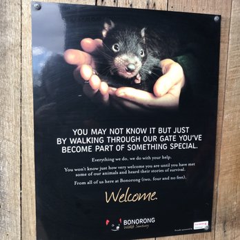 Bonarong Wildlife Sanctuary - Why it is so important to visit this wonderful place! - Zoos Near Me - Brighton, TAS