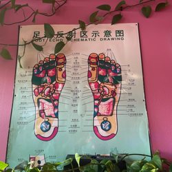 LH Foot Massage - Reflexology chart
