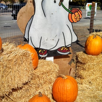 Moore Pumpkin Patch and Christmas Trees - Christmas Trees Near Me - San Ramon, California