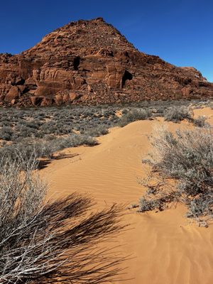 Snow Canyon State Park by null