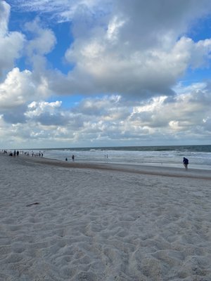 Main Beach Park by null