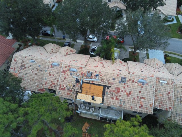 Slide of S Stergo & Sons