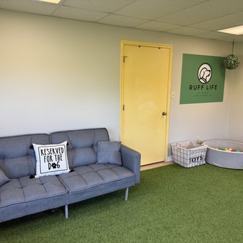Ruff Life Pet Resort - This is our indoor play area for all pups to enjoy! - Pet Boarding Near Me - King George, Virginia Ruff Life Pet Resort - This is our indoor play area for all pups to enjoy! - Pet Boarding Near Me - King George, Virginia