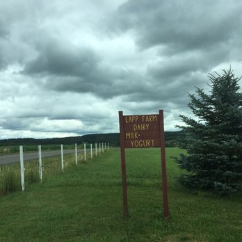 LAPP FARM DAIRY - Sign near the road - Fruits & Veggies Near Me - Cassadaga, New York LAPP FARM DAIRY - Sign near the road - Fruits & Veggies Near Me - Cassadaga, New York