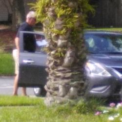 Able Driving Center - Driving instructor with no facemask.