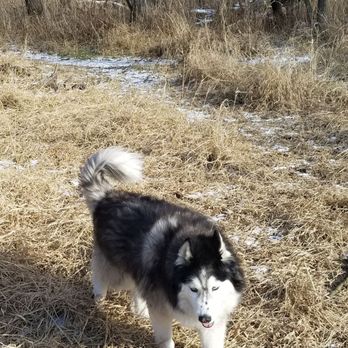 Granville Dog Park - Dog Parks Near Me - Milwaukee, Wisconsin Granville Dog Park - Dog Parks Near Me - Milwaukee, Wisconsin