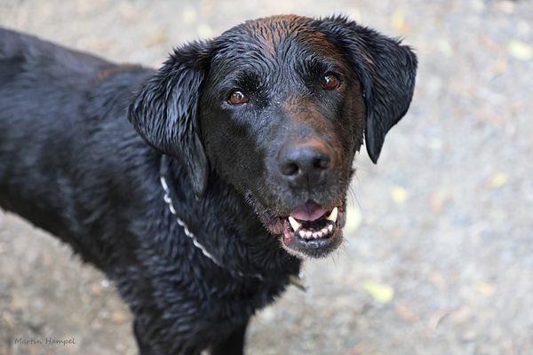 Inn On Columbia by null