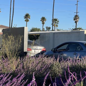 Better Buzz Coffee - Coffee & Tea Near Me - San Jacinto, California Better Buzz Coffee - Coffee & Tea Near Me - San Jacinto, California