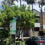 Photo of Byron Bay Side Studio Apartments