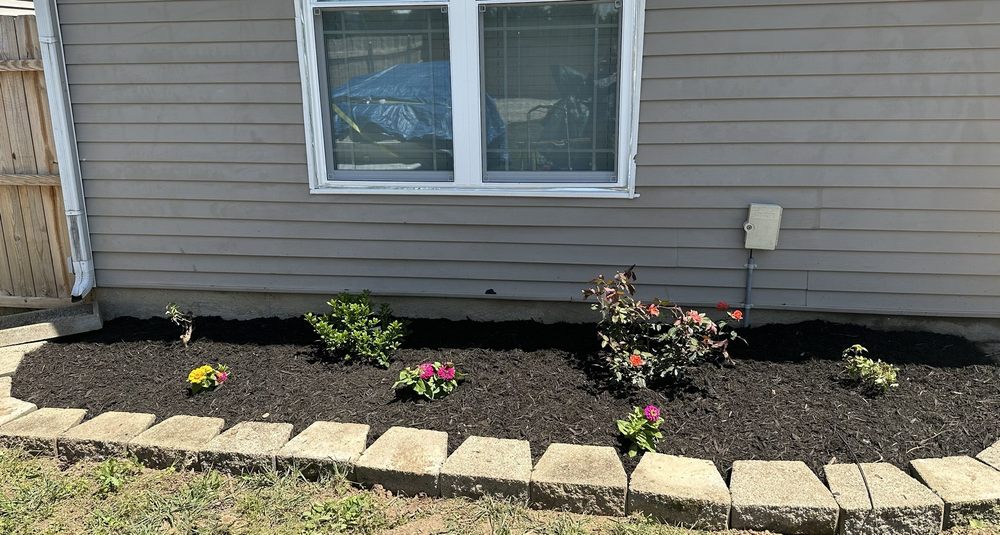 Superior Lawncare - tree service in Junction City, KY