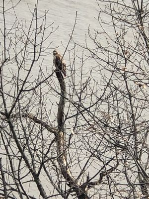 Fort Lee Historic Park, Palisades Interstate Park Commission by null