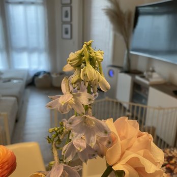 Urban Flora - Dying flower - Florists Near Me - San Jose, California Urban Flora - Dying flower - Florists Near Me - San Jose, California